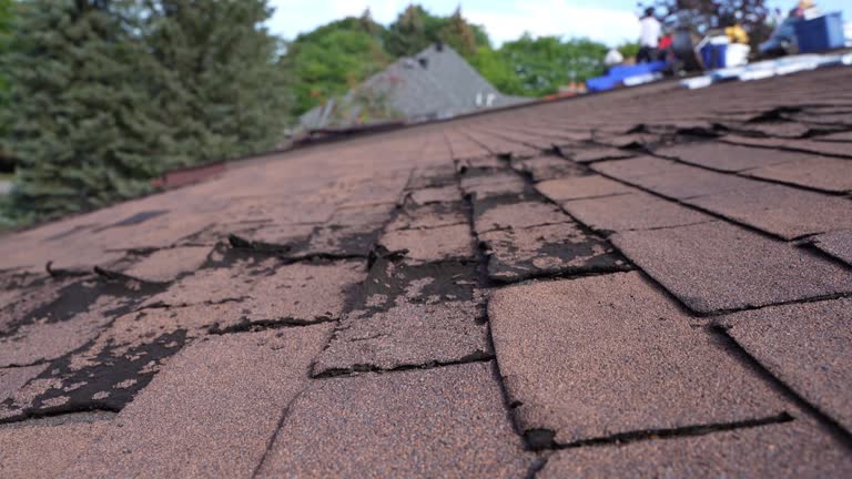 Best Skylight Installation and Repair  in Coldwater, OH