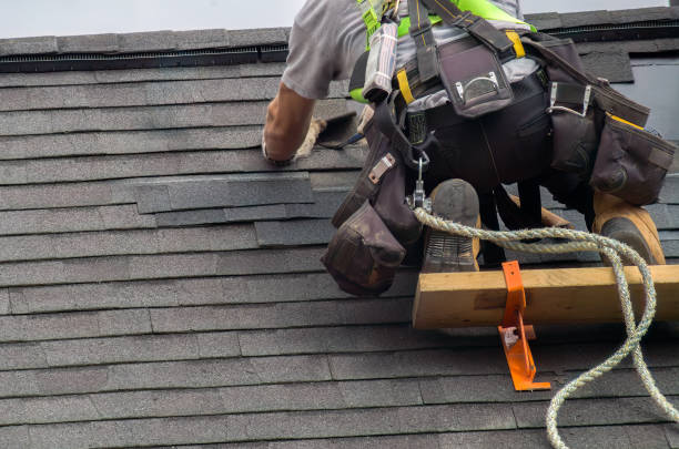 Best Chimney Flashing Repair  in Coldwater, OH